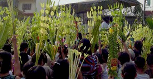 Palm Sunday – Prophetic witness with Christ