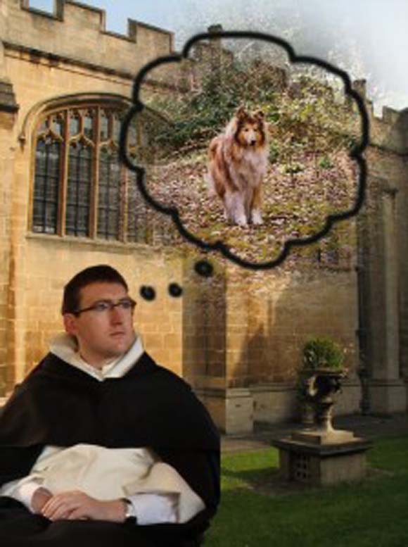 Friars’ Passions – 7 It’s a dog’s life