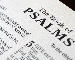 New Series: The Psalms