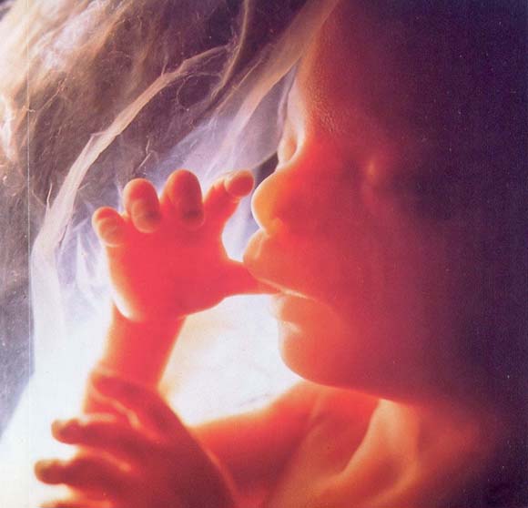 Gospel Joy: Protecting Unborn Children