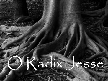 Advent 2014: ‘O Radix Iesse’