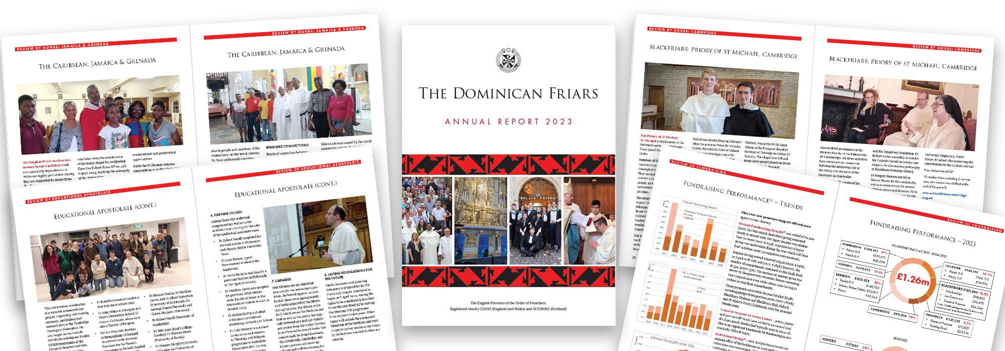 Read our new Annual Report!