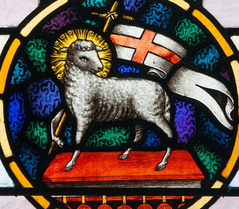 Behold, the Lamb!